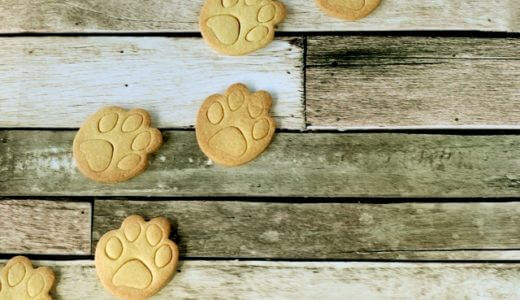 ＜犬のおやつ＞手作りクッキーおすすめレシピ9選！