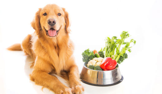 【手作りおやつ】愛犬が喜ぶ野菜を使ったおすすめレシピ10選！