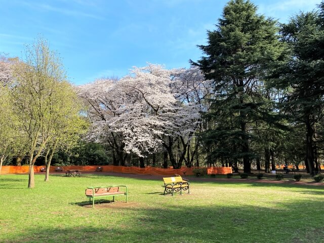 東京都 犬と遊べるおすすめの公園15選 人気スポットが目白押し Dogohマガジン