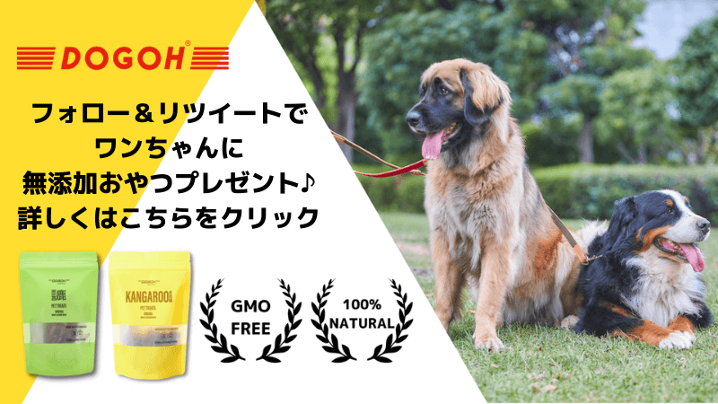 犬のおやつ 手作りクッキーおすすめレシピ9選 Dogohマガジン